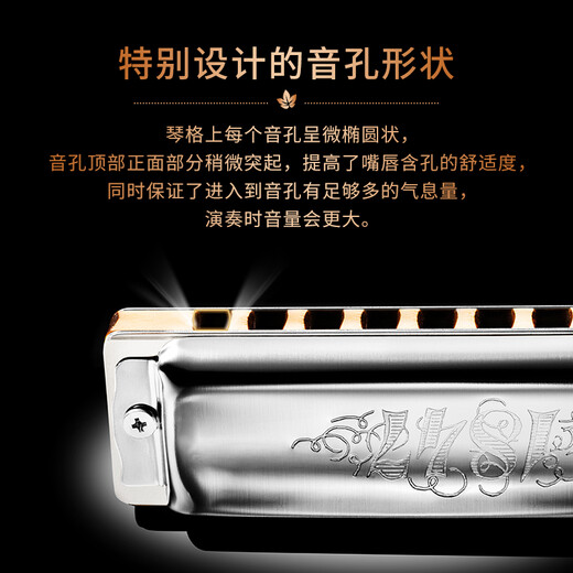 SEYDEL德国进口SEYDEL赛德 十孔10蓝调成人口琴 1847 CLASSIC 10孔E调