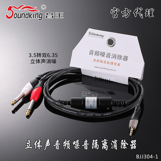Yinwang Audio Isolation Transformer CA701 Eliminates Noise AC Interference 600 Euro Performance Rental Laptop Bjr101 Isolation Line 3.5 to 2RCA