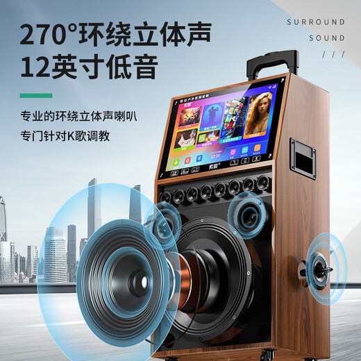 Sony Ericsson (soaiy) SA-K10S square dance display lever video machine outdoor karaoke electric guitar instrument speaker ktv audio karaoke machine