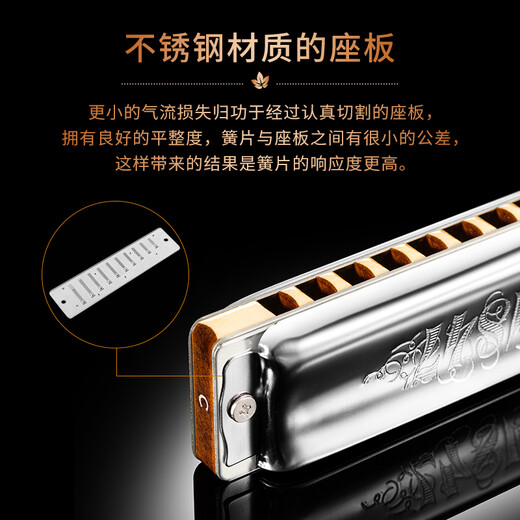 SEYDEL德国进口SEYDEL赛德 十孔10蓝调成人口琴 1847 CLASSIC 10孔E调