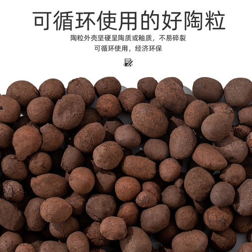 Greenpan ceramsite ball bottom 5L flower gardening hydroponic flower pot special particle small lightweight multi-succulent paving stone