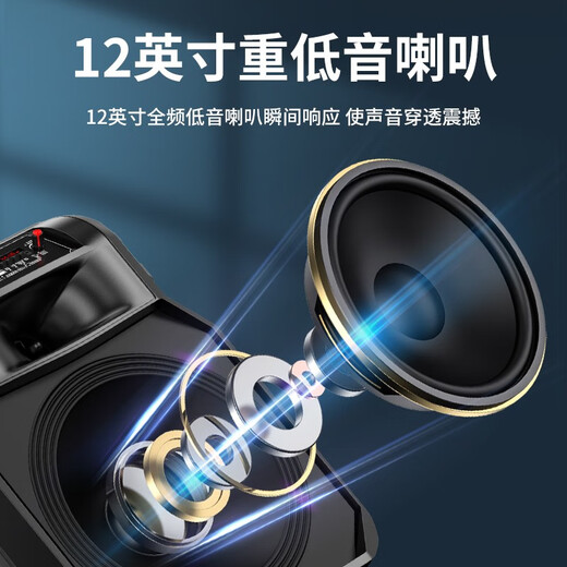 Sony Ericsson F21 12-inch high-power subwoofer square dance speaker mobile outdoor Bluetooth trolley speaker portable amplifier 12-inch subwoofer (without microphone)