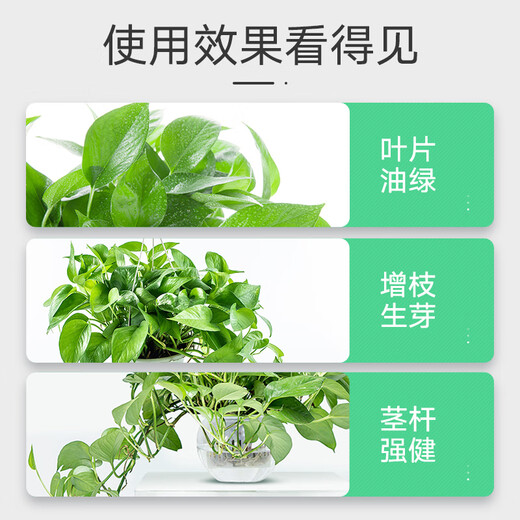 Lupan hydroponic pothos nutrient solution special fertilizer to prevent yellow leaves and root rot in soil culture 500ML concentrated plant leaves turn green