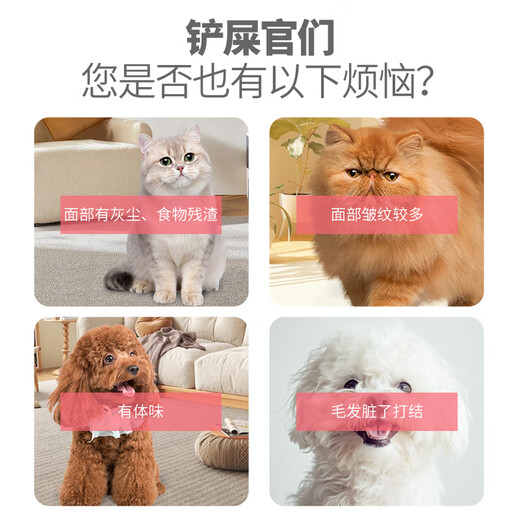 L&W BROS. Pet Comb Teddy Bear Cat Facial Cleansing Mousse Comb Bath-Free Foam Cat Hair Comb Supplies