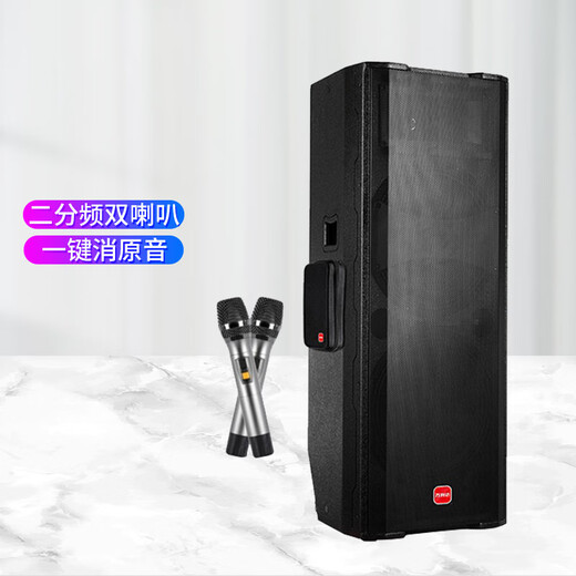 Malata Audio Big Flying M+9870W Outdoor Mobile Speaker High Power Bluetooth Tragbarer Audio-Stufe Konferenz Lehrerleistung Professionaler Sprecher (M+9871W) Zwei-Frequenz-Dual-Lautsprecher-15-Zoll