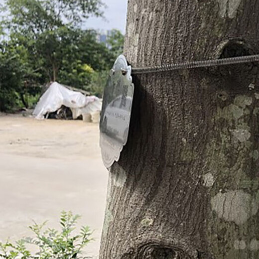 Lu Lingqing stainless steel tree sign spring tension spring rope hanging chain 304 stainless steel material can be retracted without damaging the tree sign. Customized tree sign. Contact customer service.