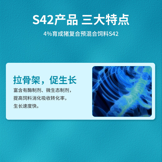 Zhenqi 4% breeding pig premix S42 medium pig premix pig feed fast 95 animal husbandry Zhenqi