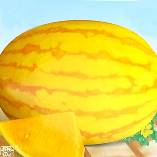 Dayu Yellow Heart Watermelon Seeds, Early Maturity, Yellow Skin, Red Flesh, Yellow Flesh, Special Xiaofeng Watermelon Seeds, Southern Fruit, Golden Beauty Watermelon Seeds, 100 Yellow Skin, Yellow Flesh