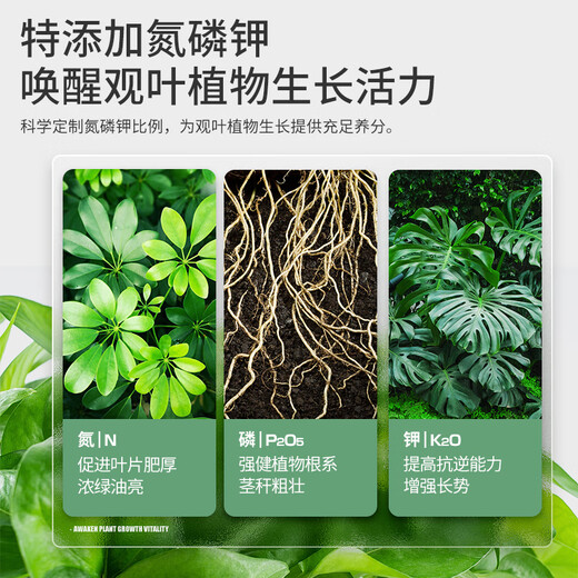 Stanley special nutrient soil for foliage and green plants, indoor potted plants, universal soil, bonsai planting, peat soil for green plants 10L