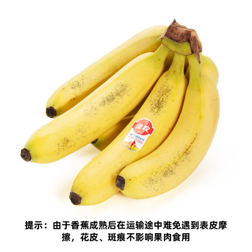 Good Farmer imported sweet and glutinous banana single pack fresh fruit with net weight starting from 160g