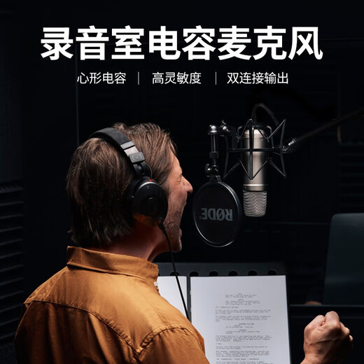 RODE NT1 5TH large diaphragm vocal condenser microphone professional home live broadcast karaoke microphone recording studio internet celebrity anchor computer dubbing recording microphone NT1 5TH condenser microphone (silver model) + DS2 desktop stand