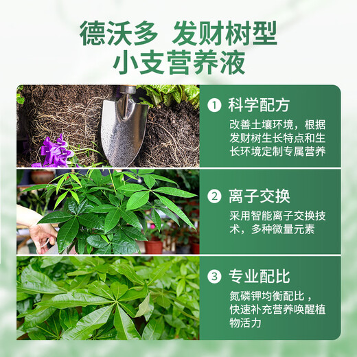 Devoduo money tree special plant nutrient solution 6 pieces/pack*2 gardening green plant potted flower fertilizer hydroponic organic foliar fertilizer