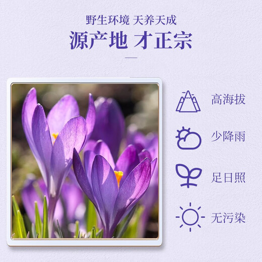 【滋补送礼】林氏珍宝堂【新品】伊朗藏红花 西红花正品 泡水喝 特级女士茶养生茶饮5克送礼佳品 进口藏红花精品5g装