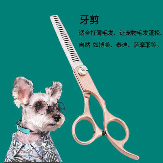 Tanizaki pet grooming scissors, dog hair tool set, 7-inch split scissors, professional trimming scissors, curved scissors, Teddy cat and dog universal haircut tool, pet scissors #dental scissors + curling scissors, storage bag