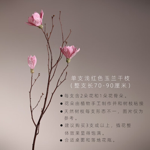 Aesthetic Hacker Handmade Birch Trunks Mountain Twisted Magnolia Branches Bouquet Living Room Decoration Dried Flowers Real Flowers Flower Arrangement Home Indoor Three Magnolia Flowers in Red are More Affordable