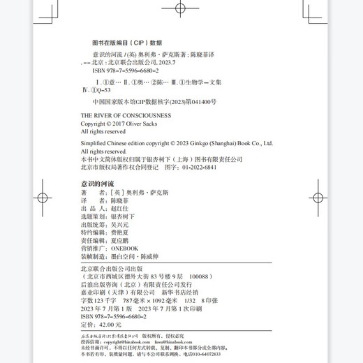 意识的河流 The River of Consciousness