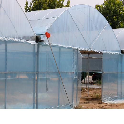 Ligao (LIGAO) transparent plastic sheet waterproof greenhouse plastic film film rain cloth dust-proof film moisture-proof cloth thickened 16 wires 2*2 meters long