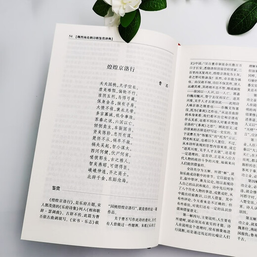 魏晋南北朝诗歌鉴赏辞典