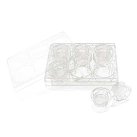 Placa de cultivo de cámara celular con membrana de PC/PET de 6 pocillos, 12 pocillos y 24 pocillos, membrana de PET de poliéster de 3,0 um de 6 pocillos transwell 14122