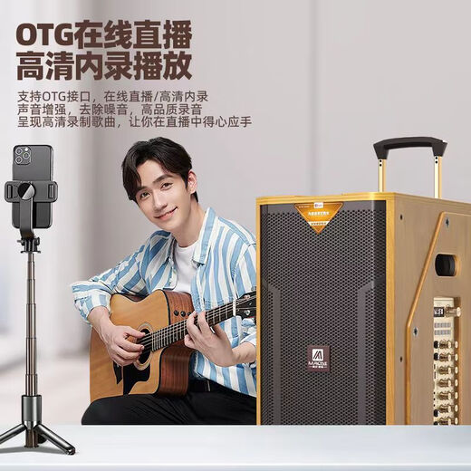 MALONE high-end indoor and outdoor high-power square dance audio OTG live karaoke lithium battery portable trolley audio subwoofer with sound card DSP wireless microphone Bluetooth speaker M-8088 audio + dual microphones + spree