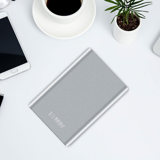 科硕（KESU） 移动硬盘 USB3.0  大容量安全加密 高速外接存储 K201-皓月银 500G  标准套餐