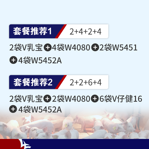 ELLHOPE Xi'an Hefeng pig feed 4% medium pig premix W5452A high lysine granules organic carrier for pig farms 20kg