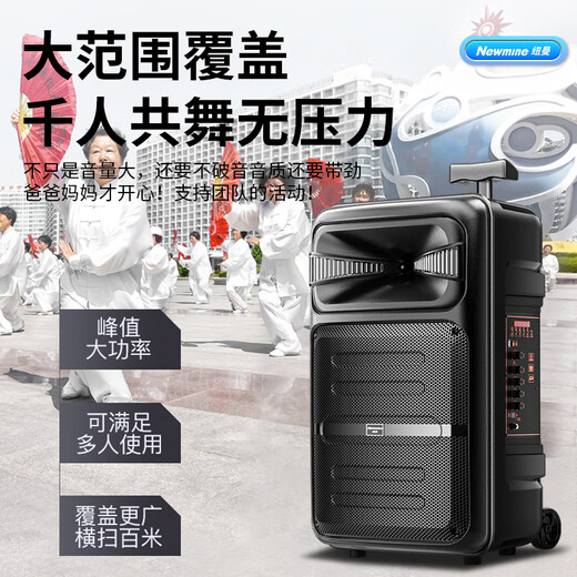 Newman A12 outdoor square dance audio 12-inch high-power loudspeaker mobile portable household trolley Bluetooth speaker street stall stall speaker double wheat version