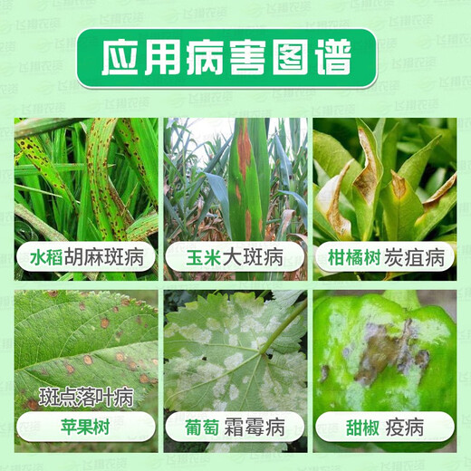 Bayer Antaisyn propionic zinc fruit tree grape cucumber tomato downy mildew early and late blight pesticide fungicide 25g*50 bags