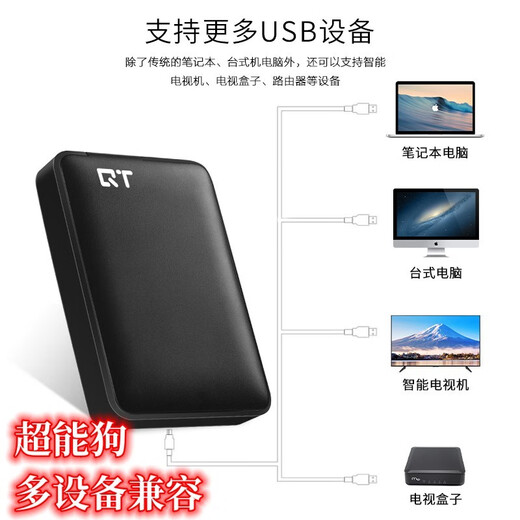 Super Dog kostengünstige mobile Festplatte mit großer Kapazität, 2,5 Zoll, tragbar, stromlos, 5 TB, USB 3.0, QT, stoßfeste Serie, 2 TB, Schwarz, 5 TB