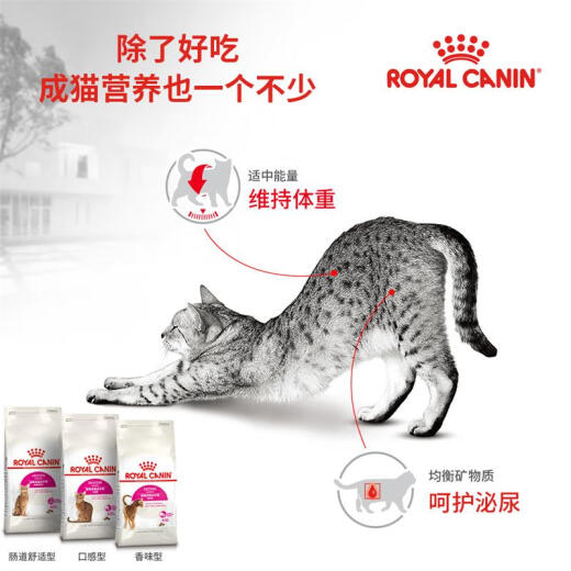 Royal Cat Food Adult Cat Food Intestinal Comfort EP42 General Food 12 Months and Over 2KG