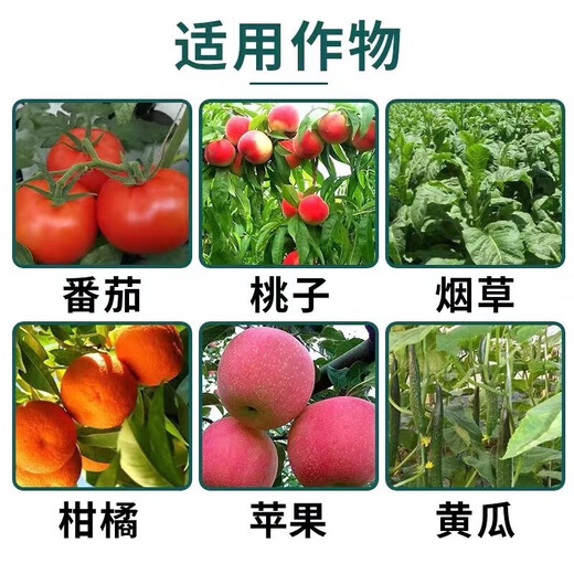 Guoguang Dynamics S-induced antibiotic tobacco citrus disease resistance, drought and cold resistance, salt tolerance, root and seedling growth regulator 200ml