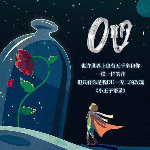 Dirholl Little Prince and Rose Platinum Ring PT950 Platinum Couple Proposal Ring 520 Valentine's Day Gift for Girlfriend Light Luxury Style - Little Prince and Rose Pair of Rings - No Engraving