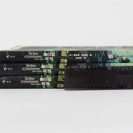 意识的河流 The River of Consciousness