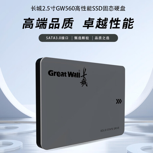 长城（Great Wall) 256GB SSD固态硬盘 SATA3.0接口 读速540MB/S台式机/笔记本通用 GW560系列 