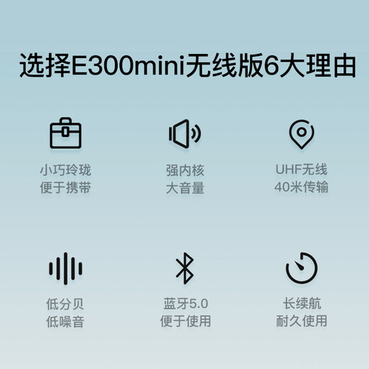 TAKSTAR E300mini wireless little bee loudspeaker for teachers, Bluetooth outdoor tour guide speaker, lecturer speaker, black