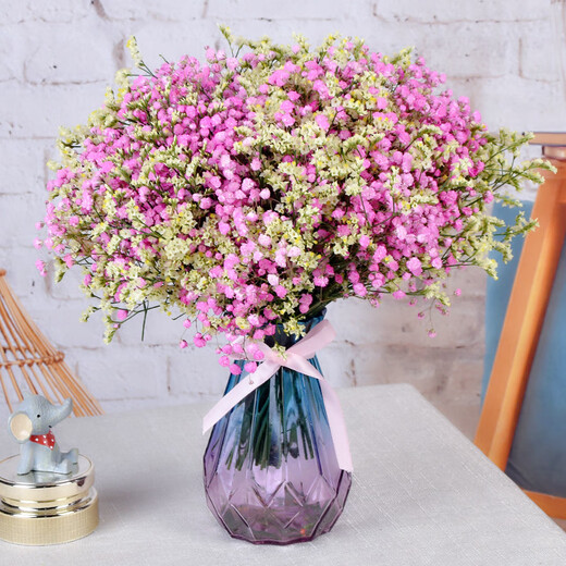 AIMAN Gypsophila Natural Dried Flower Bouquet Ins Internet Celebrity Birthday New House Decorative Ornaments Air-Dried Real Flower Arrangements Home Furnishings Purple + White + Sapphire Blue Gypsophila Without Vase