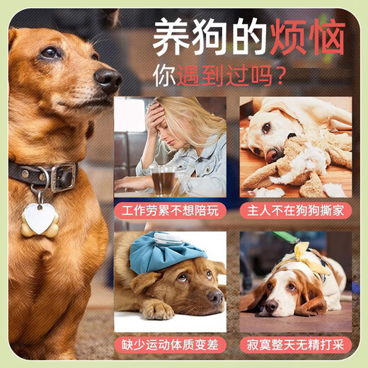 Huayuan pet equipment (hoopet) dog tennis launcher toy ball tennis machine interactive dog training pet pitching automatic ball launcher electric dog training