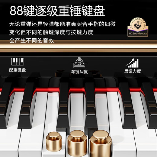 Ryefield (Ryefield) Electric Piano 88 Key Heavy Hammer Beginner Professional Rading Piano Home Home Digital Electronic Piano Grade Grade High Box RY688 Heavy Hammer-Balm Balm White Paint