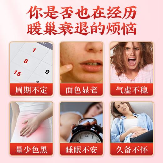 北京同仁堂亚麻籽无花果茶养雌茶黄体酮茶种子循环茶黑豆黑枸杞桑葚茶150g