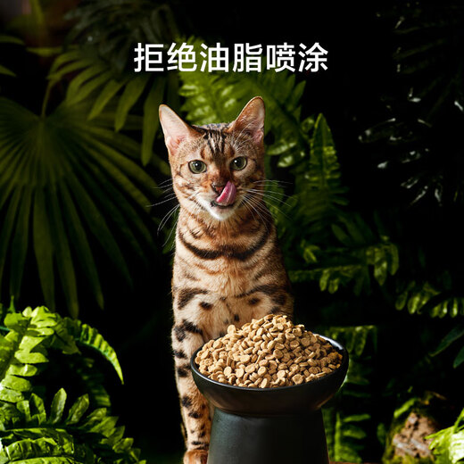 Jingjing Tokyo Baked Series Fresh Chicken Cat Food 150g Try Baked Fresh Meat Gluten-Free Adult Cats and Kittens