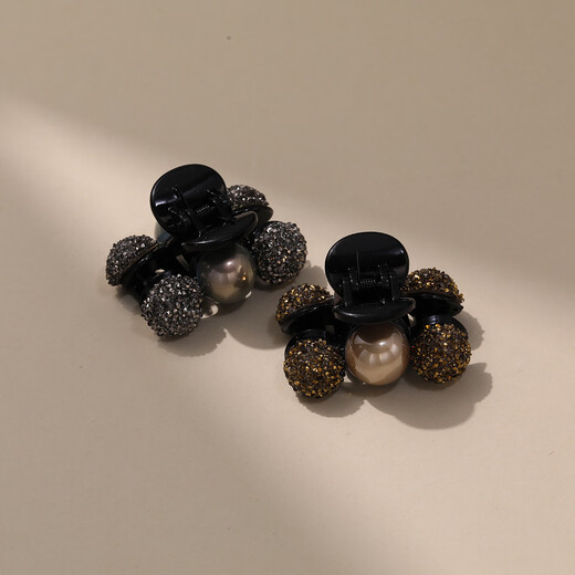 Chimera (CHIMERA) 2-piece hairpins, half-tied hairpins at the back of the head, side bangs clips, hair accessories, headbands, birthday gifts for girls