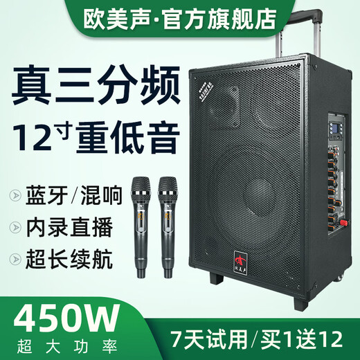 European and American sound outdoor audio karaoke dedicated three-way high-power professional singing live square dance performance high-quality large volume mobile pull rod Bluetooth portable speaker equipment 12-inch 263 pull rod 450W 2* wireless headset + gift package