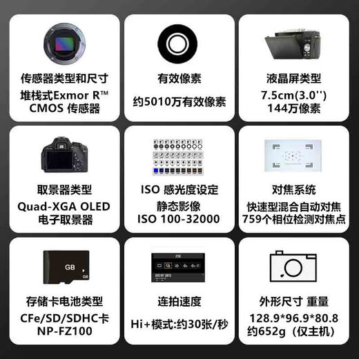 索尼（SONY）ILCE-1 A1 a1 AlphaA1全画幅微单相机 5010万像素 FE200-600 F5.6-6.3 OSS 套餐四 专业套餐 256G卡*2+原装电池
