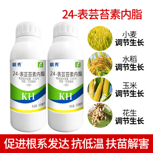 Health care 0.01% 24 epibrassinolide foliar vegetable and fruit tree seedling antidote for pesticides and plant growth regulators