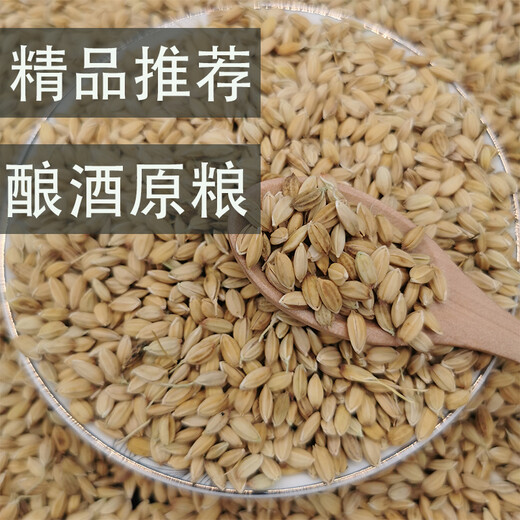 Tea bran, glutinous rice, glutinous rice with shell, glutinous rice with shell, glutinous rice with shell, 500g non-standard customization Jin Jin is equal to 0.5 kg non-standard customization