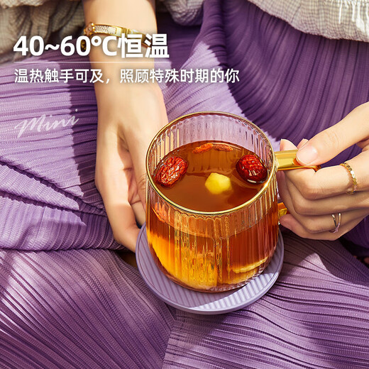 LIFE ELEMENT Mini Health Kettle, Automatic Insulation and Constant Temperature Heating, Gift for Wife and Girlfriend on Holidays and Birthdays, Multi-Functional Healthy Flower Tea, Stew, Electric Stew Health Cup I156