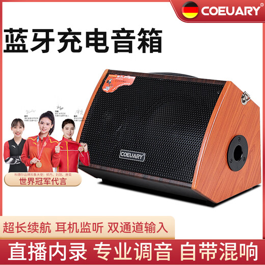 Coeuary Guitar Playing and Singing Speaker Bluetooth Charging Electric Box Acoustic Guitar Speaker Folk Playing and Singing Rechargeable Guitar Speaker 6.5-inch-60W+2 Wireless Microphones