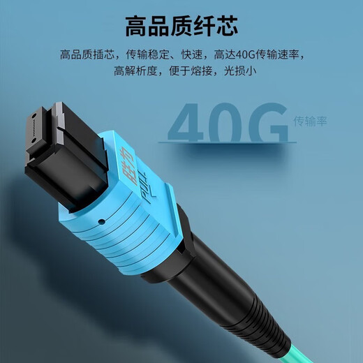 胜为光纤跳线MPO-LC12芯 30米 网线多模OM4万兆40G光模块集束光纤 MPO-LC/12芯  胜为 光纤跳线 MPO-LC MPO-LC/12芯 3米 FMPL-1203
