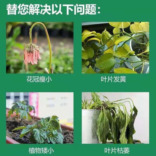 Yara Norway Yara Compound Fertilizer Organic Fertilizer Fruit Tree Flower Potted Seedlings Vegetable Plants Universal Comprehensive Nutritional Fertilizer 50Jin Jin equals 0.5kg =25kg