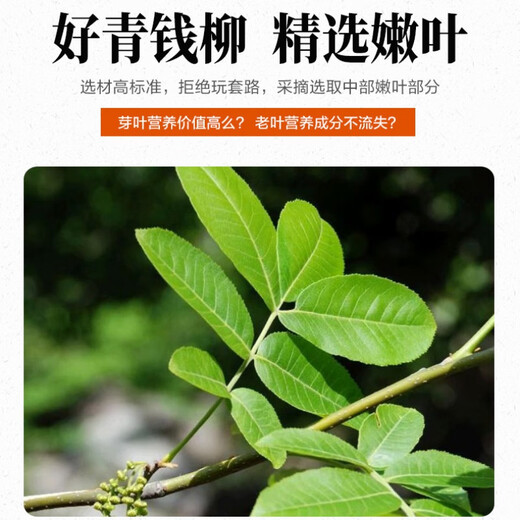 青钱柳批发修水金钱柳张家界青钱柳湖南城步茶 青钱柳原叶250克(半斤)